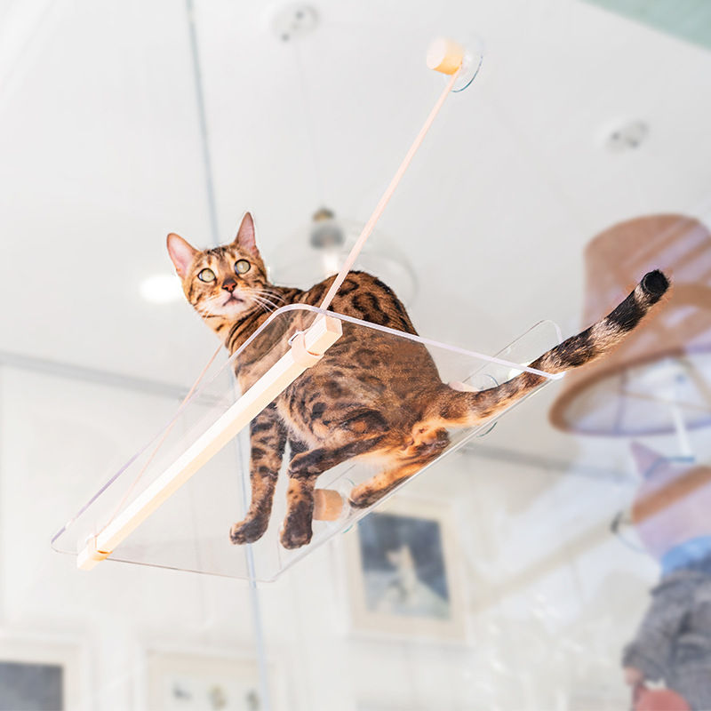 Thumbnail: Lucite Air Bed