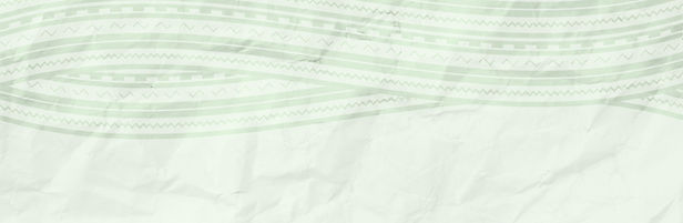 HOME STRIP copy.jpg