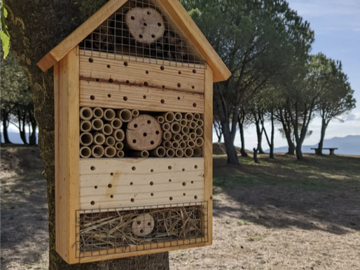  ¿Qué es un hotel de insectos?