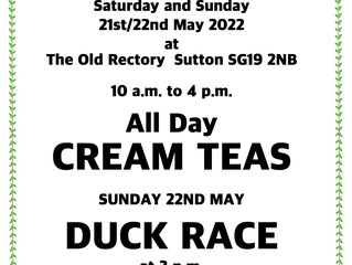 The Jubilee Weekend gets nearer, and Sutton has a Duck Race!!