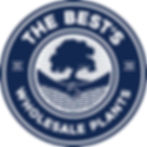 Bests logo.jpg