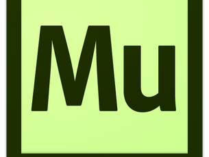 Should I Use Adobe Muse To Build My Website?