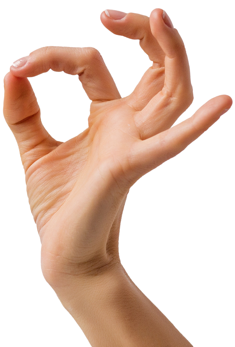 Carpal Tunnel Pain Relief Surgery Treatment In USA Trigger Finger meet-mac-the-izabela-dior-bouvier-foundation