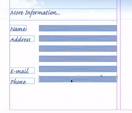 Blank form fields Adobe InDesign