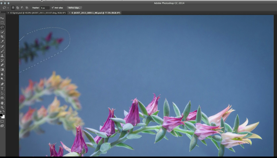 cactus - content aware fill tool