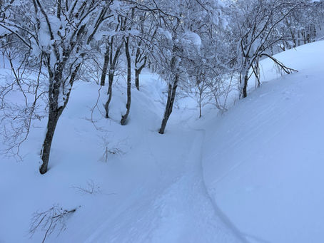 斑尾で、はじめてのバックカントリーへ。
