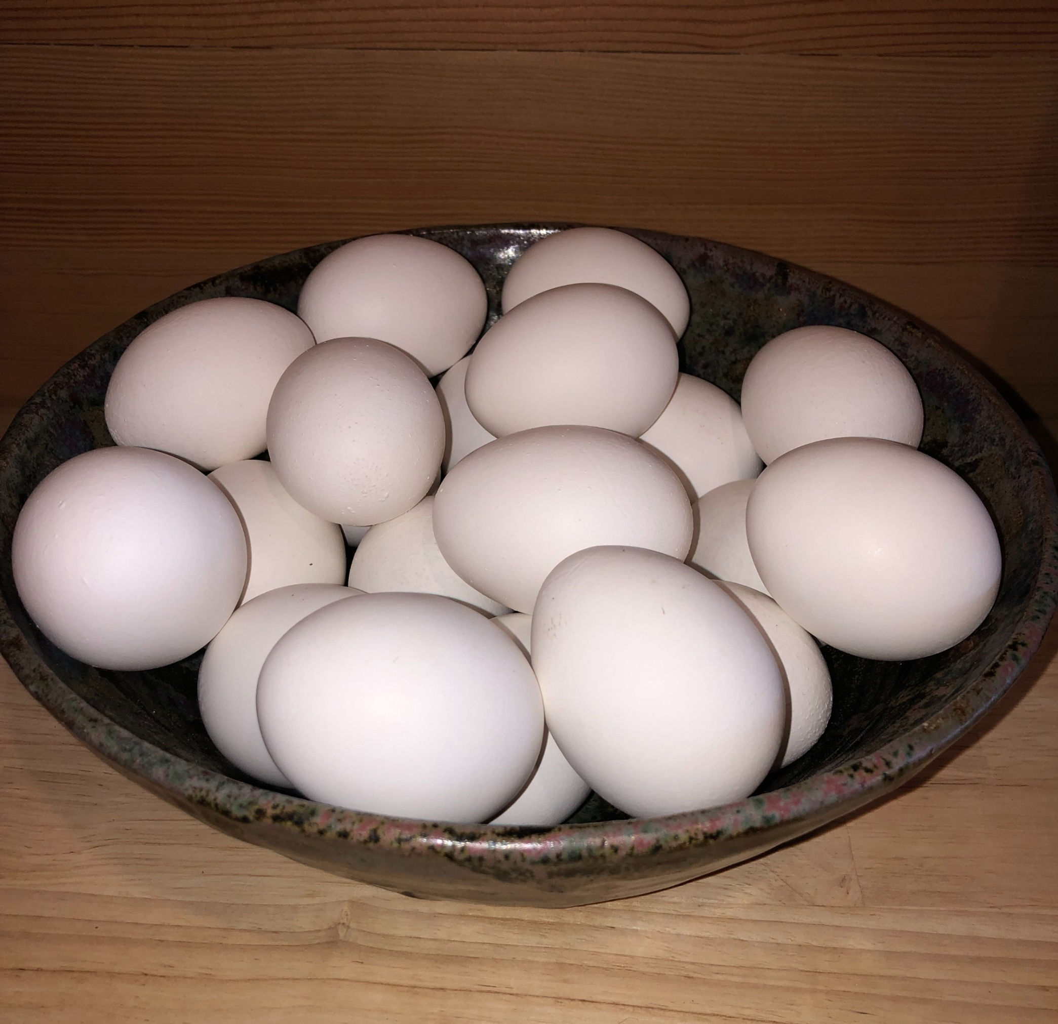 Chicken Eggs