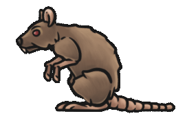 Spine_Creature_Sewers_Rat-Rat_1-CharacterSewers_Rat_Idle_2.gif