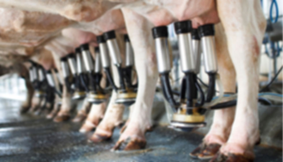 Milking Parlor_edited