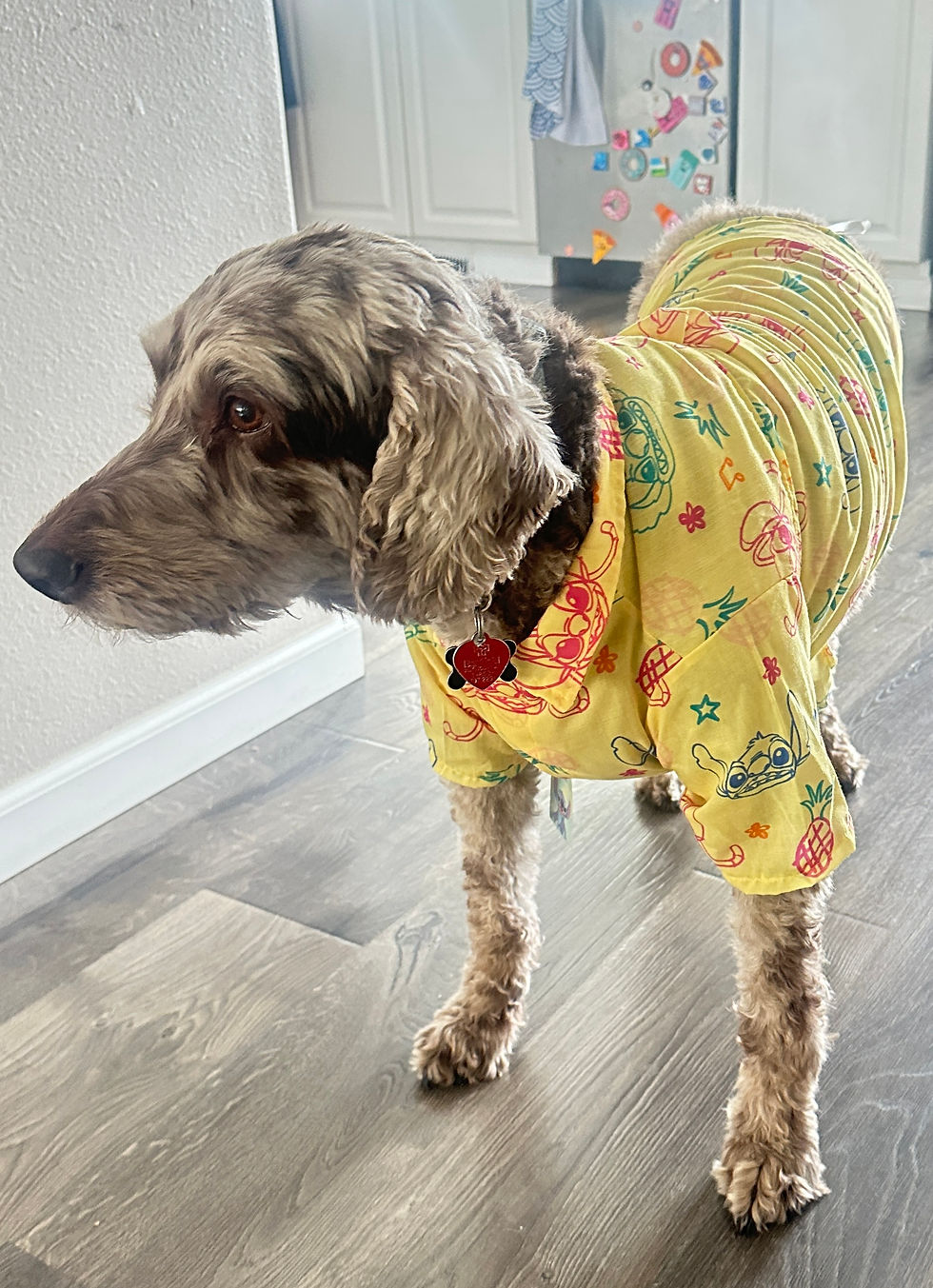 Rico’s Ready for Summer Vacation 
