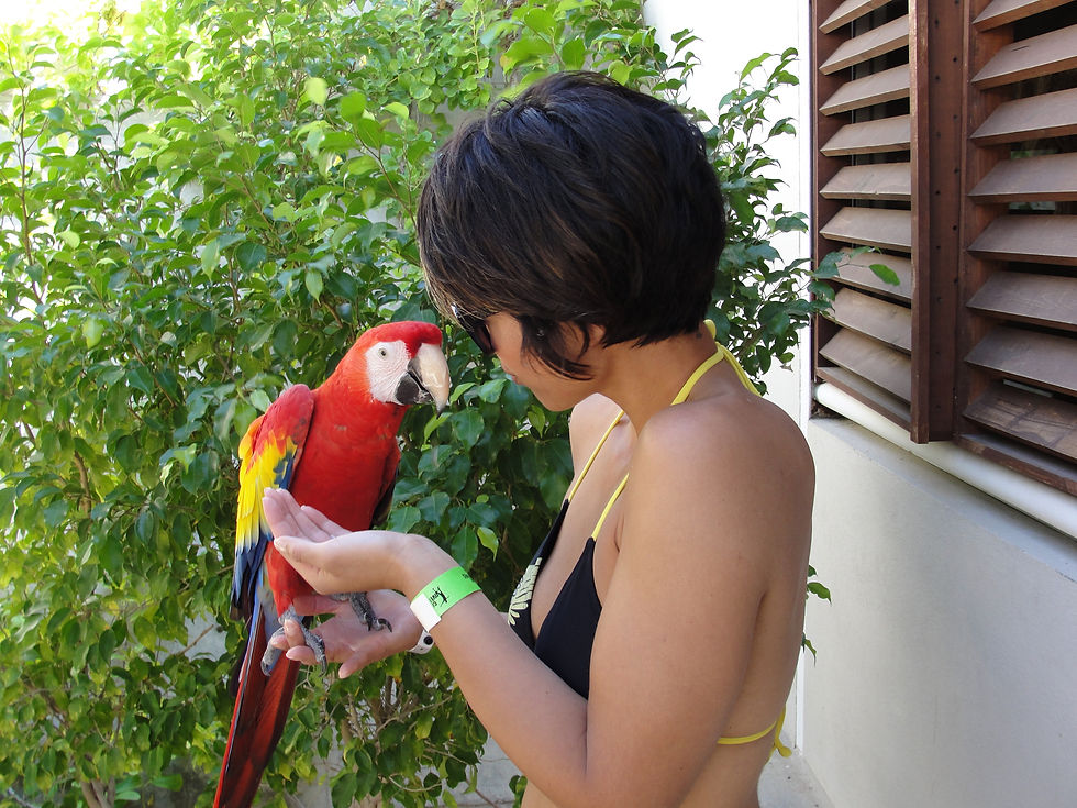 My first vacation in Cabo