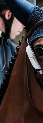 Equitazione