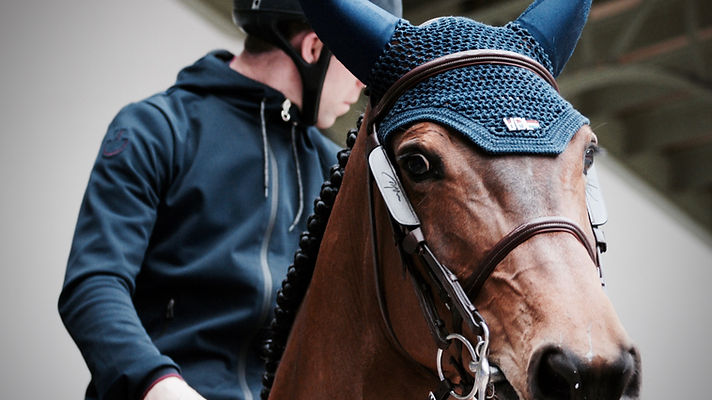 cavalgando