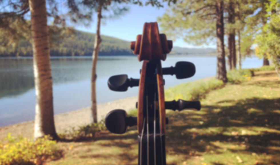 Violin on Swan River
