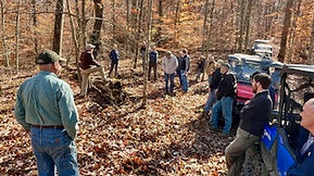 Spring 2025 Kentucky Woodlands Newsletter