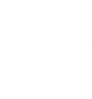 KAEE logo Tree only White.png
