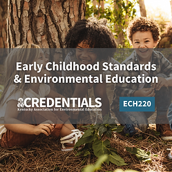 early childhood standards course logo