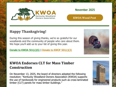 November 2025 Wood Post