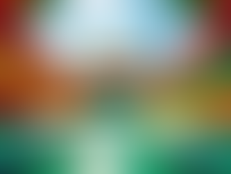 Discover the Fun of Wonder Rides