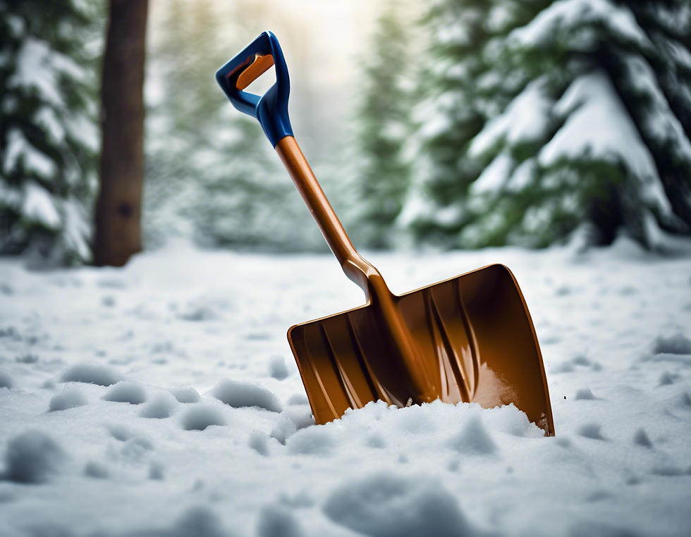 Top Tips for Winter Snow Removal in Sioux Falls