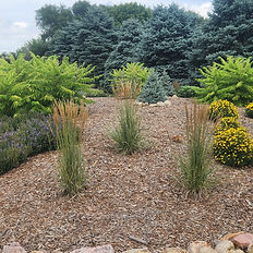 "Lush green garden with neatly trimmed hedges and blooming flowers lining a stone walkway.