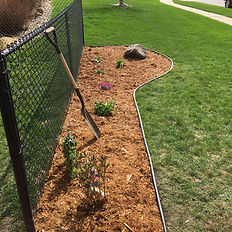 "Lush green garden with neatly trimmed hedges and blooming flowers lining a stone walkway.