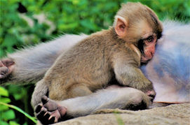 DSC_0260 - Copy - Copy.jpg