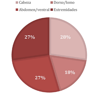 Gráfica 10. Frecuencia por región anatómica.
