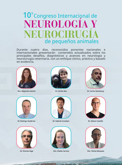 Neuro Latin Vet_B