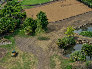 House site earthworks cut and land preparation – Razorback Group Franklin Waikato