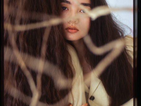 M_ December Collection