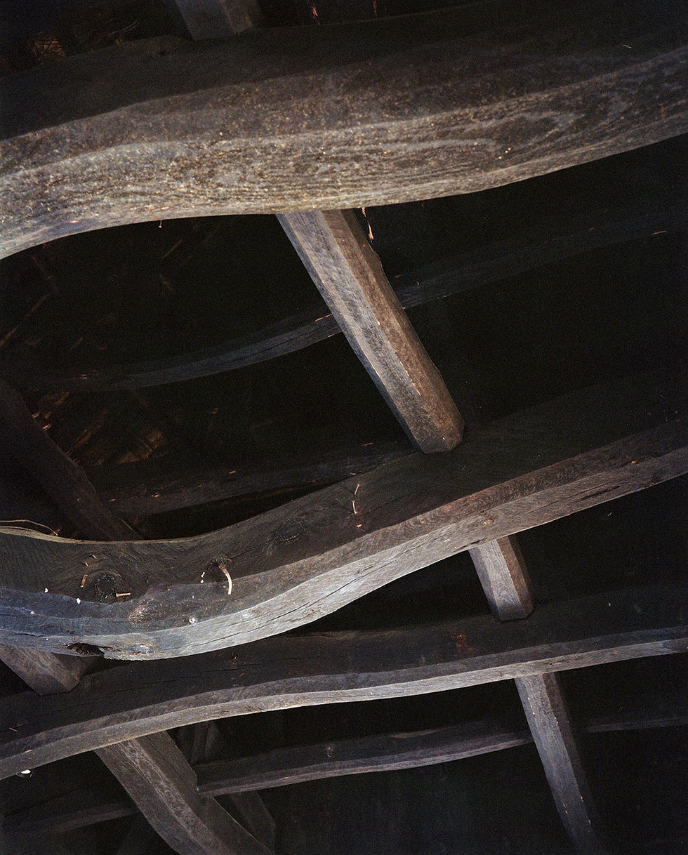 shirakonoie2_10.jpg