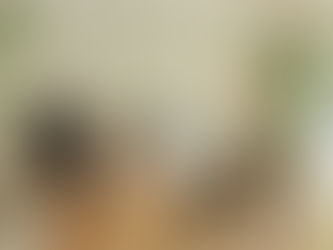 ELLE Digital インテリア特集