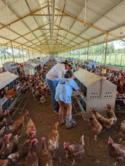 PXL_20221210_162826280