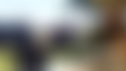 Vereadora Fabiana Camarinha enaltece trabalho e conclusão das reformas da ponte do Córrego do Veado, no Distrito de Rosália