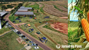 AGRONEGÓCIO: Parceria entre Unimar e Jacto marca primeira colheita de milho no FarmLab