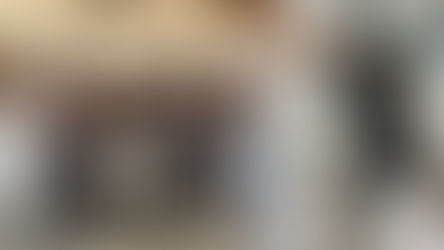 ONG Spaddes de Marília e PM resgatam cachorra que era abusada sexualmente por idoso