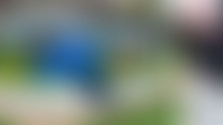 Vereador Luiz Nardi destaca o projeto "Verde em Vida, Arte no Bosque"