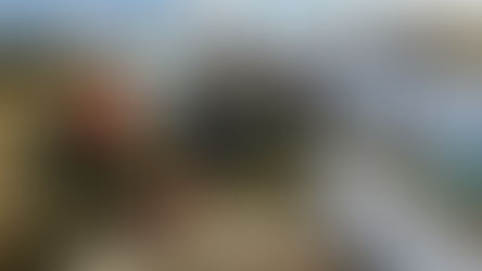 Professor e aluno morrem em queda de avião de pequeno porte na região