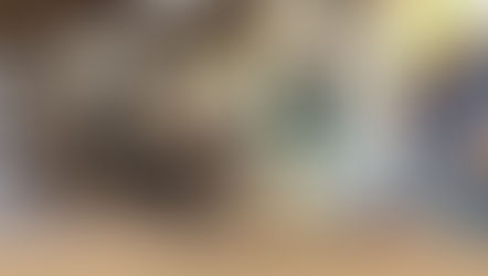 Acadêmicos do curso de Medicina Veterinária da Unimar promovem ações sociais no Lar São Vicente de Paulo e no CACAM de Marília