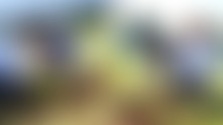 Hospital da Unimar e Prefeitura de Echaporã realizam plantio de mudas frutíferas na UPA daquela cidade