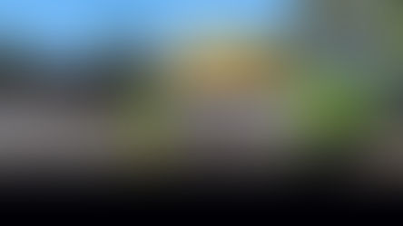 Acidente interdita a BR-153, próximo à Fazenda do Estado