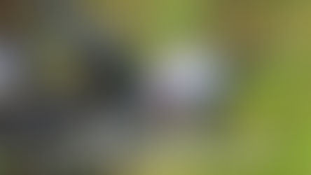 Policiais de Marília localizam motocicleta levada da casa de professor morto em roubo. Carro dele foi vendido no MS e criminosos presos