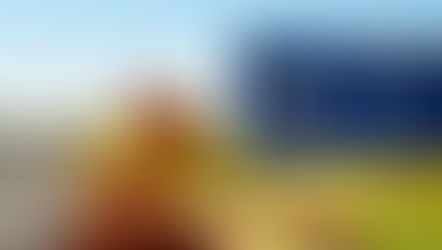 Vítimas de capotamento após atropelamento de cachorro em rodovia devem receber R$ 131 mil em indenizações, decide Justiça, em Marília