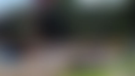 Aluno de 14 anos que invadiu escola em Marília e tentou esfaquear inspetor é recolhido na Fundação Casa . Vítima escapou do ataque se trancando em sala