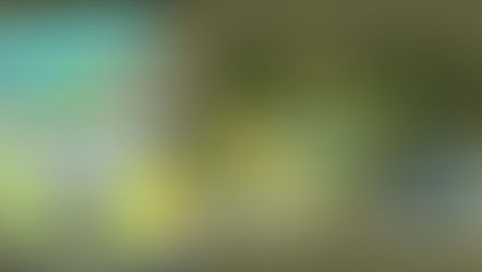 Acontece hoje o tradicional Baile Tropical na Associação dos Servidores Públicos Municipais de Marília