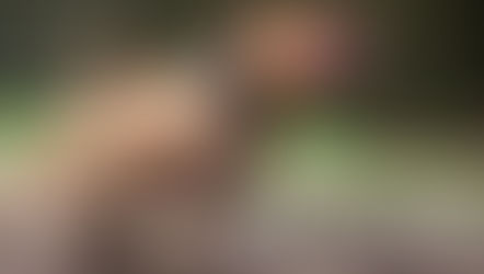 Policiais militares usam arma de choque e salvam cachorro de ataque de pitbulls, em Marília. Cães da raça também atacaram entregador