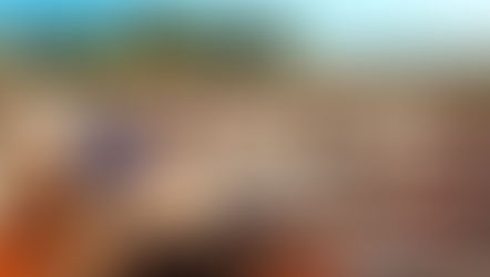 Reta final das inscrições para o Mestrado Profissional em Saúde Animal, Produção e Ambiente da Unimar