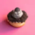 Filled with creamy Oreo filling, topped with white chocolate icing, and coated in Oreo crumbs – Mama's Donuts NZ