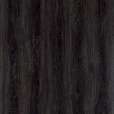 Sienna Oak 8396.jpg